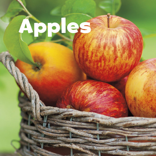 Apples (Celebrate Fall) book cover by Erika  L. Shores