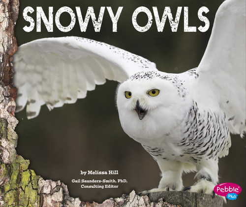 Snowy Owls (Owls) book cover by Melissa Hill