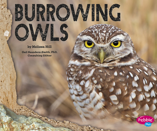 Burrowing Owls (Owls) book cover by Melissa Hill
