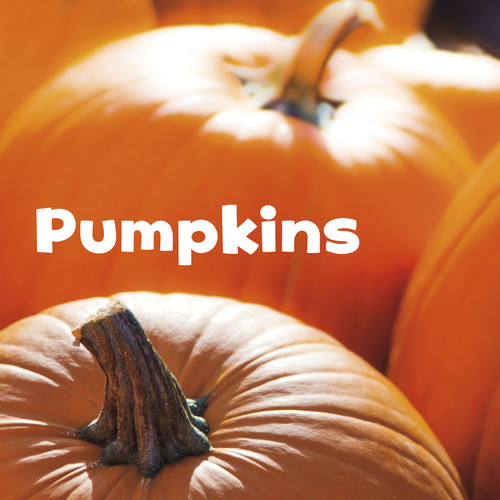 Pumpkins (Celebrate Fall) book cover by Erika  L. Shores