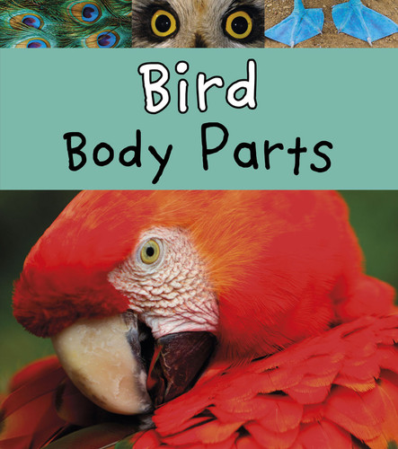 Bird Body Parts (Animal Body Parts) book cover by Clare Lewis