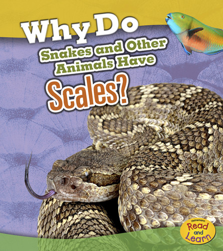 Why Do Snakes and Other Animals Have Scales? (Animal Body Coverings) book cover by Clare Lewis