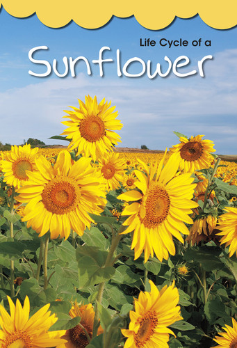 Life Cycle of a Sunflower (Shared Reading Big Books) book cover by Angela Royston