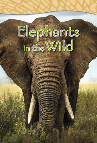 Elephants in the Wild (Shared Reading Big Books) book cover by Claire Robinson