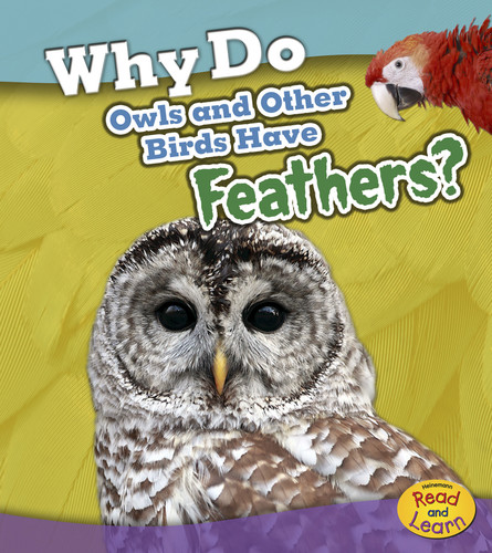 Why Do Owls and Other Birds Have Feathers? (Animal Body Coverings) book cover by Holly Beaumont