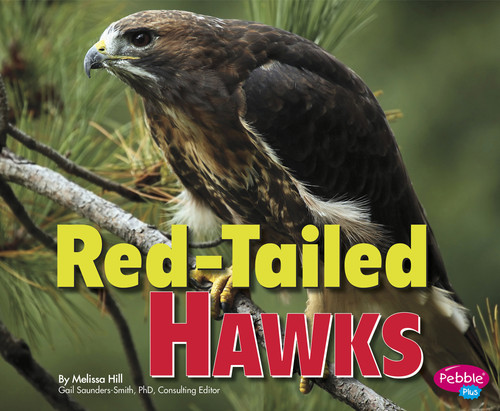 Red-Tailed Hawks (Birds of Prey) book cover by Melissa Hill
