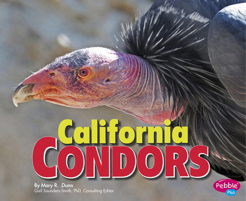 California Condors (Birds of Prey) book cover by Mary R. Dunn