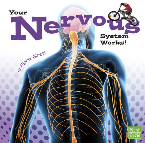 Your Nervous System Works! (Your Body Systems) book cover by Flora Brett