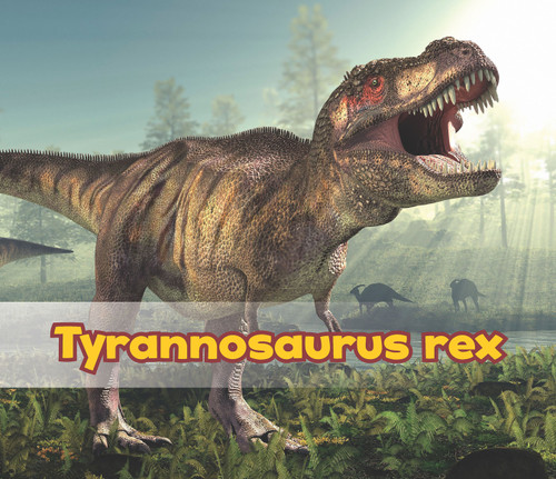 Tyrannosaurus Rex (All About Dinosaurs) book cover by Daniel Nunn