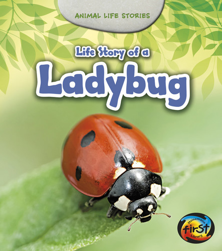 Life Story of a Ladybug (Animal Life Stories) book cover by Charlotte Guillain