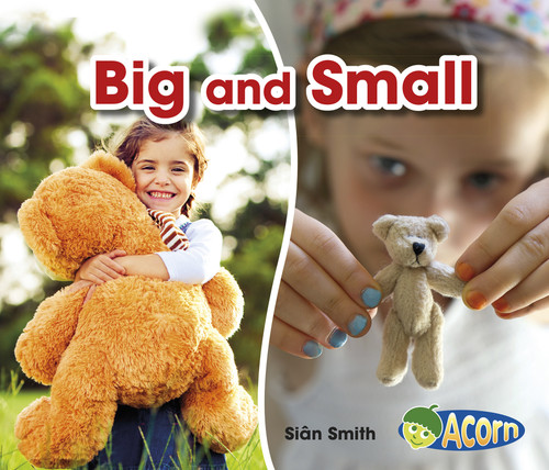 Big and Small (Opposites) book cover by Sian Smith