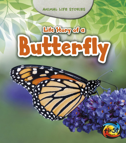Life Story of a Butterfly (Animal Life Stories) book cover by Charlotte Guillain