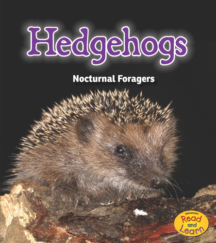 Hedgehogs: Nocturnal Foragers (Night Safari) book cover by Rebecca Rissman