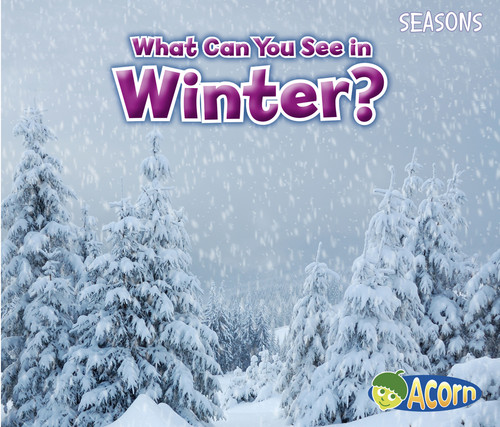 What Can You See in Winter? (Seasons) book cover by Sian Smith