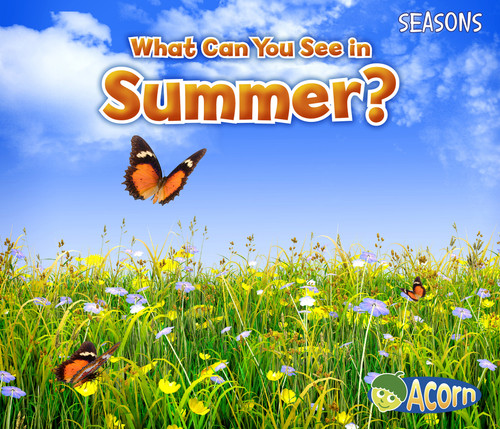What Can You See in Summer? (Seasons) book cover by Sian Smith