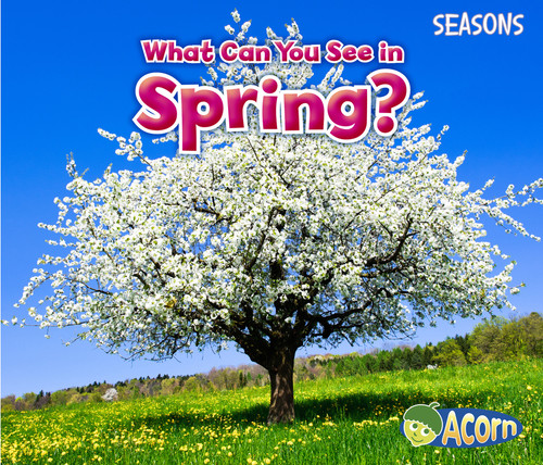 What Can You See in Spring? (Seasons) book cover by Sian Smith