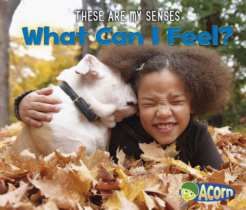 What Can I Feel? (These Are My Senses) book cover by Joanna Issa