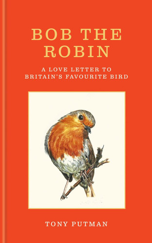 Bob the Robin: A love letter to Britain’s favourite bird book cover by Tony Putman