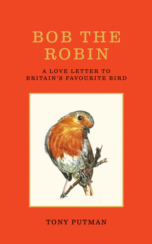 Bob the Robin: A love letter to Britain’s favourite bird book cover by Tony Putman