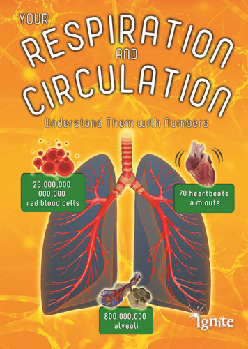 Your Respiration and Circulation: Understand Them with Numbers (Your Body By Numbers) book cover by Melanie Waldron