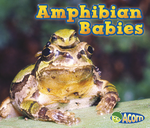 Amphibian Babies (Animal Babies) book cover by Catherine Veitch