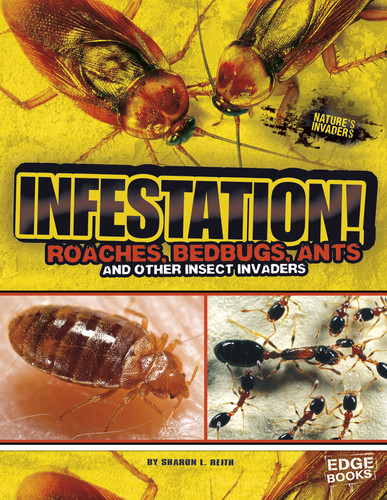 Infestation!: Roaches, Bedbugs, Ants, and Other Insect Invaders (Nature's Invaders) book cover by Sharon L. Reith