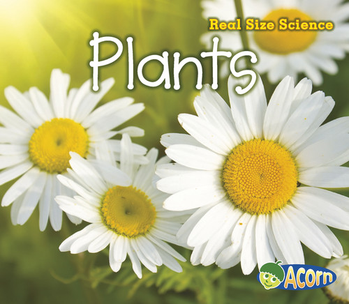 Plants: Real Size Science (Real Size Science) book cover by Rebecca Rissman