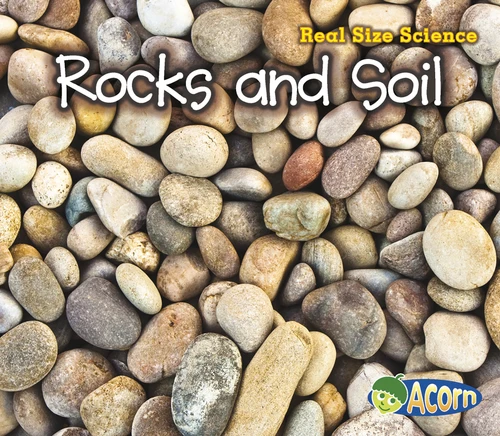 Rocks and Soil: Real Size Science (Real Size Science) book cover by Rebecca Rissman