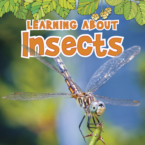 Learning About Insects (The Natural World) book cover by Catherine Veitch