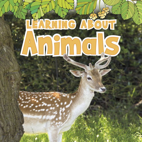Learning About Animals (The Natural World) book cover by Catherine Veitch