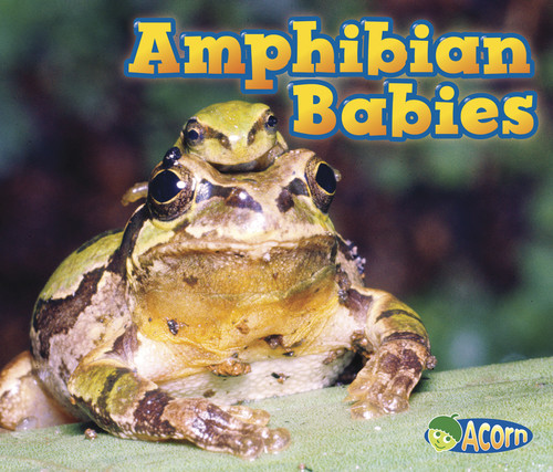 Amphibian Babies (Animal Babies) book cover by Catherine Veitch