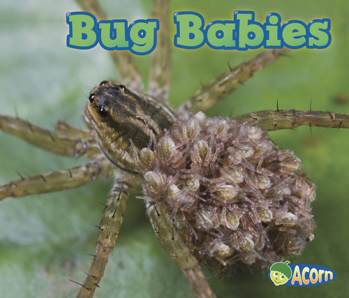 Bug Babies (Animal Babies) book cover by Catherine Veitch