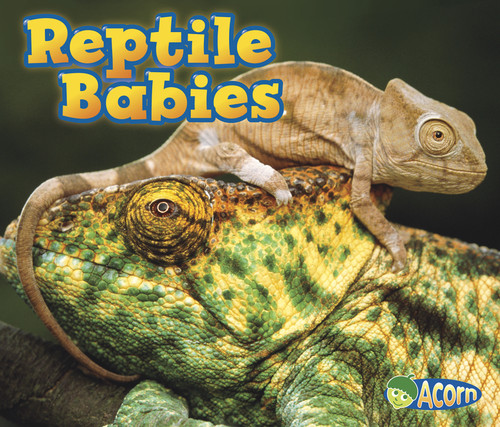 Reptile Babies (Animal Babies) book cover by Catherine Veitch