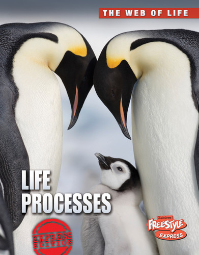 Life Processes (The Web of Life) book cover by Anna Claybourne
