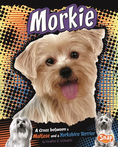 Morkie: A Cross Between a Maltese and a Yorkshire Terrier (Designer Dogs) book cover by Heather E. Schwartz