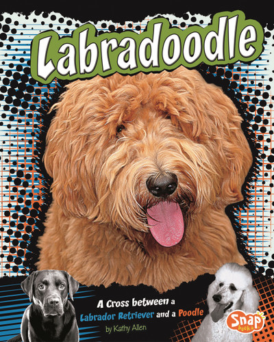 Labradoodle: A Cross Between a Labrador Retriever and a Poodle (Designer Dogs) book cover by Kathy Allen