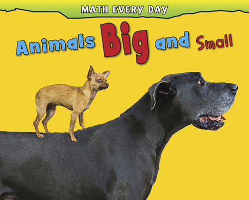 Animals Big and Small (Math Every Day) book cover by Daniel Nunn, Rebecca Rissman