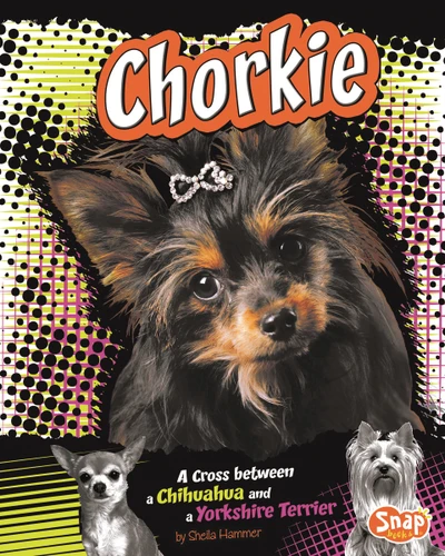 Chorkie: A Cross Between a Chihuahua and a Yorkshire Terrier (Designer Dogs) book cover by Sheila Hammer