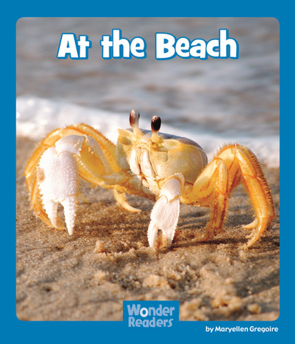 At the Beach (Wonder Readers Emergent Level) book cover by Maryellen Gregoire
