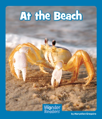 At the Beach (Wonder Readers Emergent Level) book cover by Maryellen Gregoire