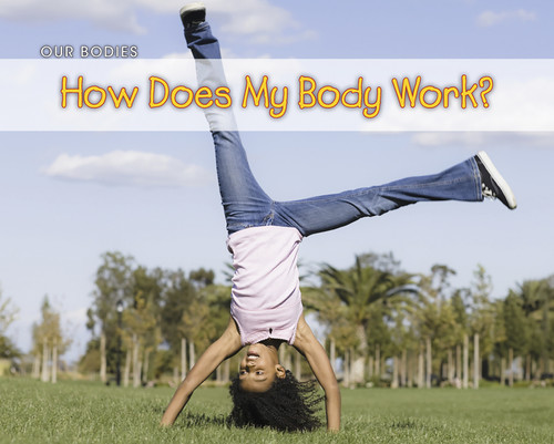How Does Your Body Work? book cover by Charlotte Guillain