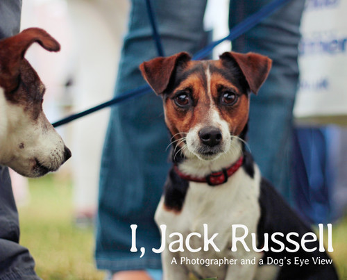 I, Jack Russell: A Photographer and a Dog's Eye View book cover by Andy Hughes