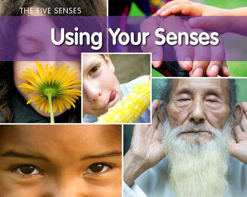 Using Your Senses book cover by Rebecca Rissman