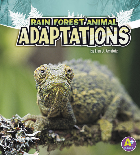 Rain Forest Animal Adaptations (Amazing Animal Adaptations) book cover by Lisa J. Amstutz