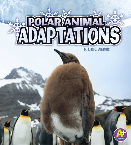Polar Animal Adaptations (Amazing Animal Adaptations) book cover by Lisa J. Amstutz