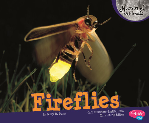 Fireflies (Nocturnal Animals) book cover by Mary R. Dunn