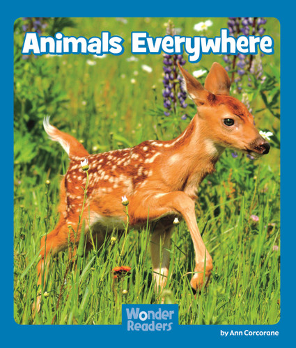 Animals Everywhere (Wonder Readers Emergent Level) book cover by Ann Corcorane