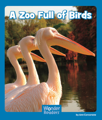 A Zoo Full of Birds (Wonder Readers Emergent Level) book cover by Ann Corcorane
