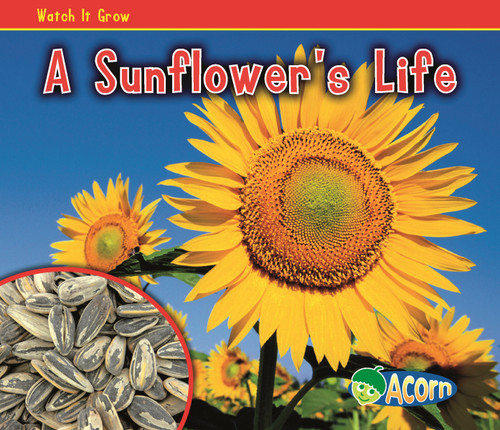 A Sunflower's Life (Watch It Grow) book cover by Nancy Dickmann