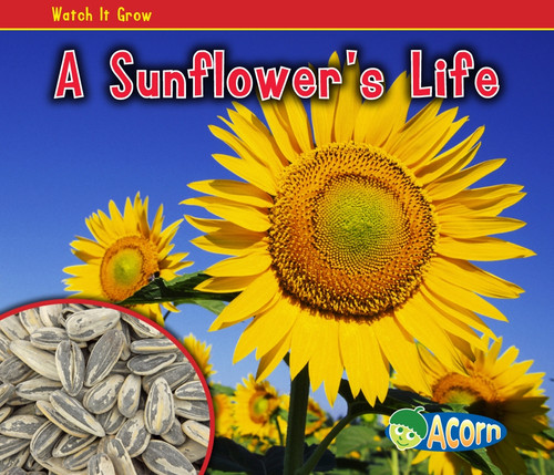 A Sunflower's Life (Watch It Grow) book cover by Nancy Dickmann